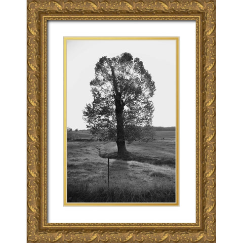 Giant Tree Gold Ornate Wood Framed Art Print with Double Matting by Lee, Judson