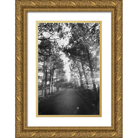 Country Road Gold Ornate Wood Framed Art Print with Double Matting by Lee, Judson