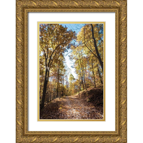 Golden Path Entrance Gold Ornate Wood Framed Art Print with Double Matting by Lee, Judson