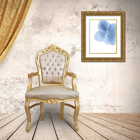 Blue Pansy Gold Ornate Wood Framed Art Print with Double Matting by Fay, Mela