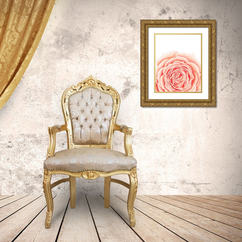 Light Orange Rose Gold Ornate Wood Framed Art Print with Double Matting by Fay, Mela
