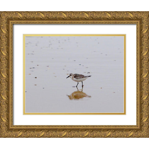 Little Guy Gold Ornate Wood Framed Art Print with Double Matting by Singleton, Ashley