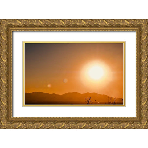 Desertscape Gold Ornate Wood Framed Art Print with Double Matting by Singleton, Ashley