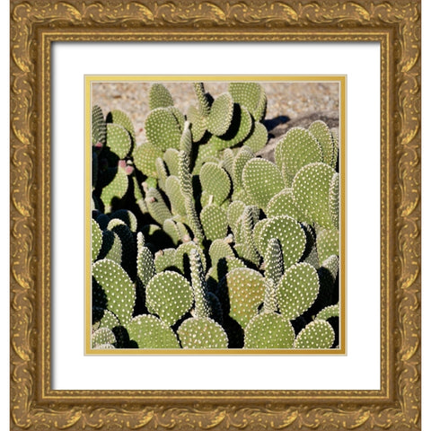 Cactus Gold Ornate Wood Framed Art Print with Double Matting by Singleton, Ashley