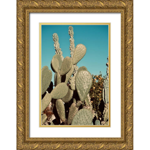 Cactus IV Gold Ornate Wood Framed Art Print with Double Matting by Singleton, Ashley