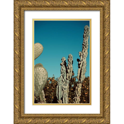 Cactus V Gold Ornate Wood Framed Art Print with Double Matting by Singleton, Ashley