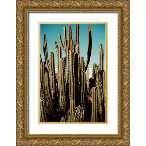 Cactus VIII Gold Ornate Wood Framed Art Print with Double Matting by Singleton, Ashley