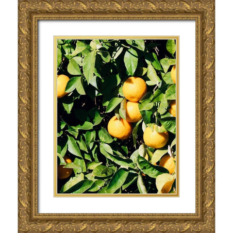 Orange Gold Ornate Wood Framed Art Print with Double Matting by Singleton, Ashley