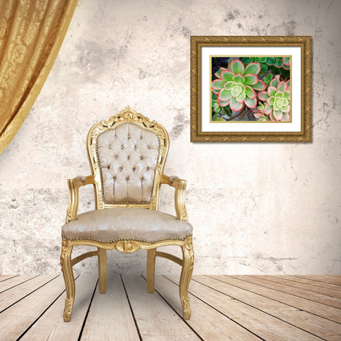 Succulent II Gold Ornate Wood Framed Art Print with Double Matting by Singleton, Ashley