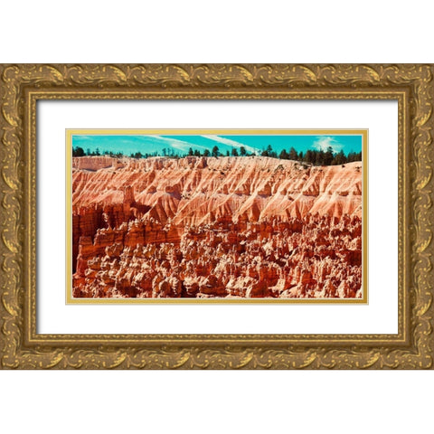 Natures Wonders Gold Ornate Wood Framed Art Print with Double Matting by Singleton, Ashley