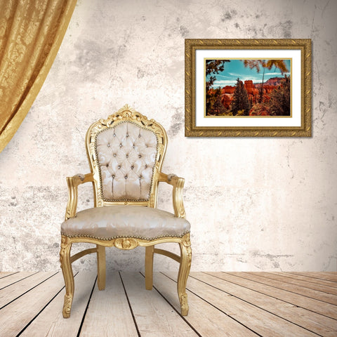 Bryce Canyon Gold Ornate Wood Framed Art Print with Double Matting by Singleton, Ashley