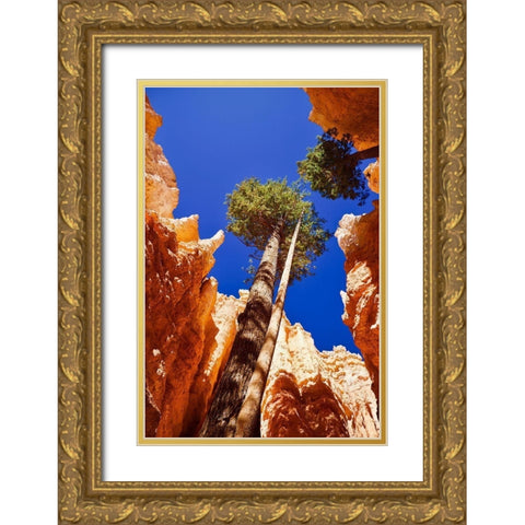 Standing Tall Gold Ornate Wood Framed Art Print with Double Matting by Singleton, Ashley