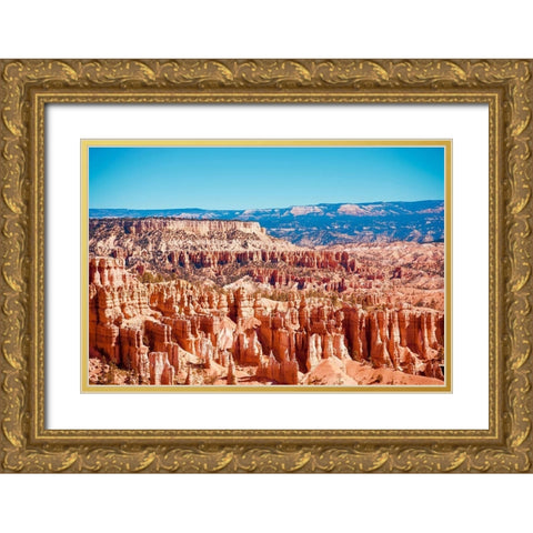Bryce Canyon, Utah Gold Ornate Wood Framed Art Print with Double Matting by Singleton, Ashley