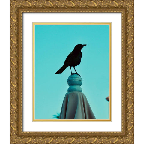 Blue Raven Gold Ornate Wood Framed Art Print with Double Matting by Singleton, Ashley