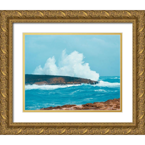 Splash Zone Gold Ornate Wood Framed Art Print with Double Matting by Singleton, Ashley