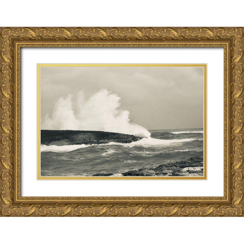 Splash Zone II Gold Ornate Wood Framed Art Print with Double Matting by Singleton, Ashley