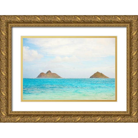 Islands Gold Ornate Wood Framed Art Print with Double Matting by Singleton, Ashley