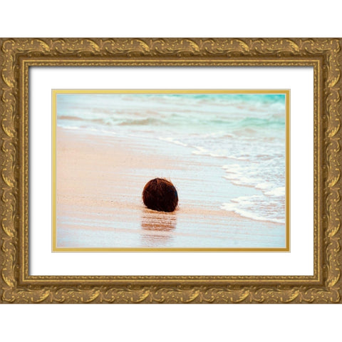 Coconut Gold Ornate Wood Framed Art Print with Double Matting by Singleton, Ashley