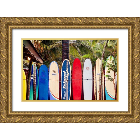 Surf Boards Gold Ornate Wood Framed Art Print with Double Matting by Singleton, Ashley