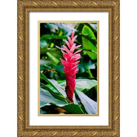 Pinky Gold Ornate Wood Framed Art Print with Double Matting by Singleton, Ashley