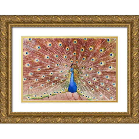 Plume III Gold Ornate Wood Framed Art Print with Double Matting by Singleton, Ashley