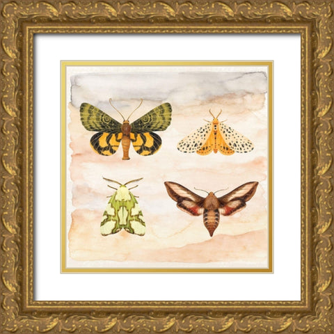 Little Wings II Gold Ornate Wood Framed Art Print with Double Matting by ND Art