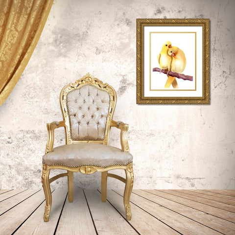 Yellow Parakeets Gold Ornate Wood Framed Art Print with Double Matting by Shefranov, Olga