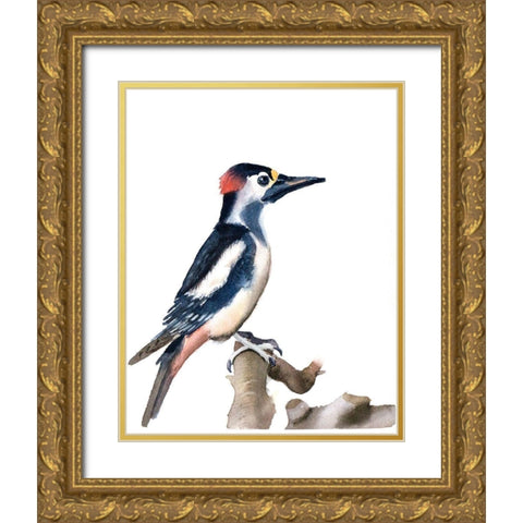 Black Beak Gold Ornate Wood Framed Art Print with Double Matting by Shefranov, Olga