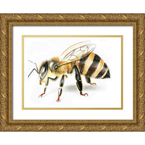 Bee II Gold Ornate Wood Framed Art Print with Double Matting by Shefranov, Olga