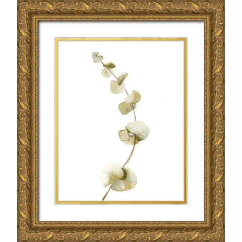 Botanical II Gold Ornate Wood Framed Art Print with Double Matting by Shefranov, Olga