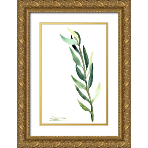 Botanical IV Gold Ornate Wood Framed Art Print with Double Matting by Shefranov, Olga