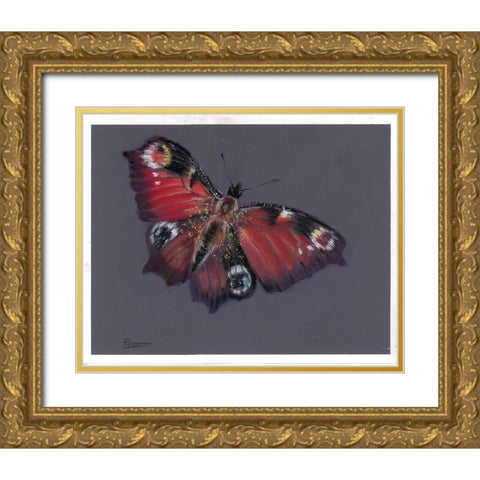 Soar Gold Ornate Wood Framed Art Print with Double Matting by Shefranov, Olga