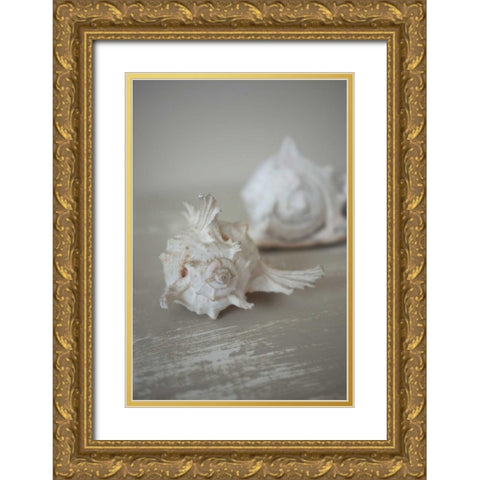 Shell Duo Gold Ornate Wood Framed Art Print with Double Matting by P.S. Art Studios