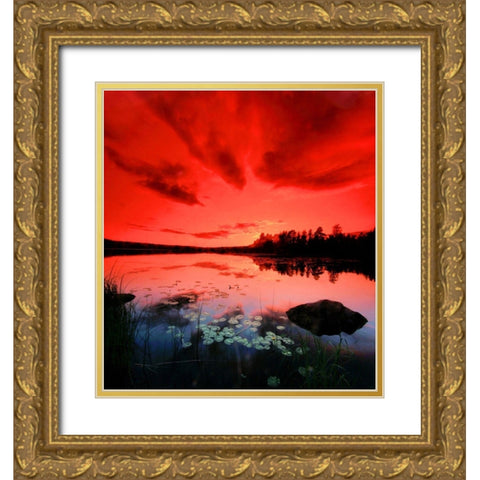 Scarlett Night Gold Ornate Wood Framed Art Print with Double Matting by P.S. Art