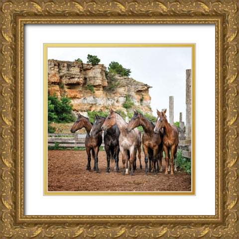 The Right Direction Gold Ornate Wood Framed Art Print with Double Matting by PBurchettPhoto