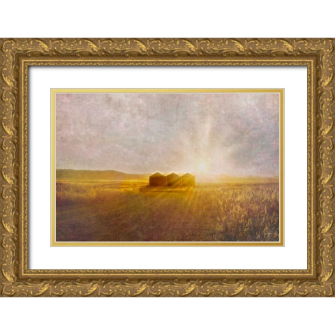 Open Spaces Gold Ornate Wood Framed Art Print with Double Matting by Murdock, Ramona