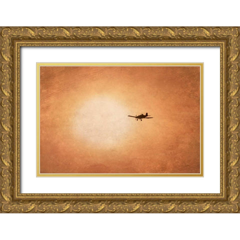 Early Morning Flight Gold Ornate Wood Framed Art Print with Double Matting by Murdock, Ramona