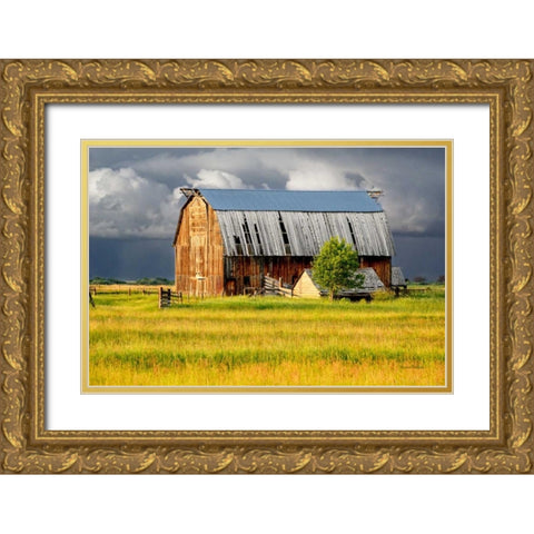 After the Storm II Gold Ornate Wood Framed Art Print with Double Matting by Murdock, Ramona