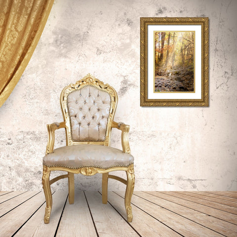 Solitude II Gold Ornate Wood Framed Art Print with Double Matting by Murdock, Ramona