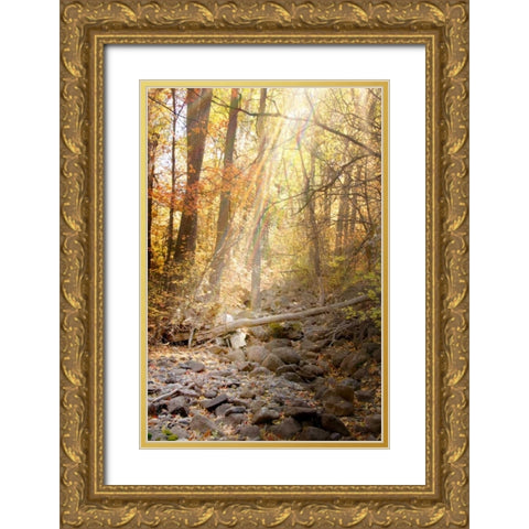 Solitude II Gold Ornate Wood Framed Art Print with Double Matting by Murdock, Ramona