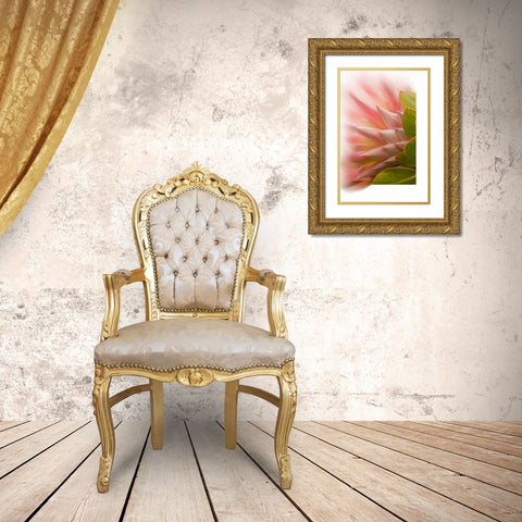Protea Blossom Gold Ornate Wood Framed Art Print with Double Matting by Murdock, Ramona