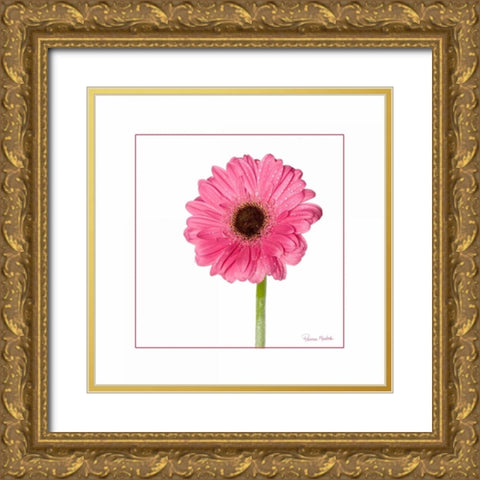 Pink Gerbera Daisy Gold Ornate Wood Framed Art Print with Double Matting by Murdock, Ramona