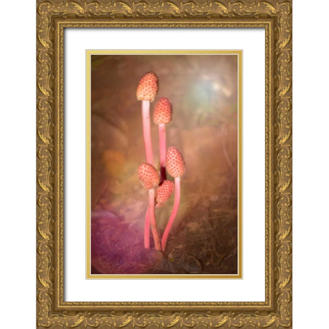 Mushroom Bouquet Gold Ornate Wood Framed Art Print with Double Matting by Murdock, Ramona