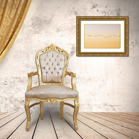 Evening Flight Gold Ornate Wood Framed Art Print with Double Matting by Murdock, Ramona