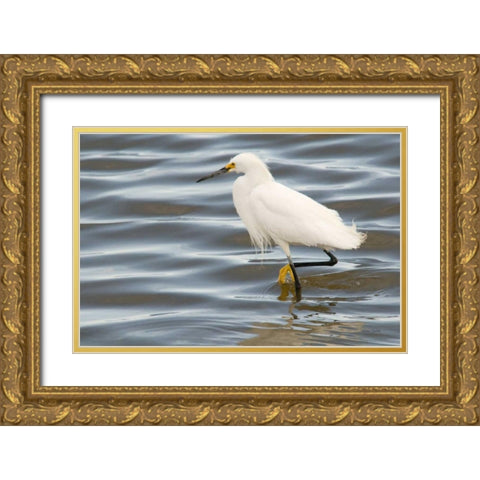 Fishin Gold Ornate Wood Framed Art Print with Double Matting by Murdock, Ramona