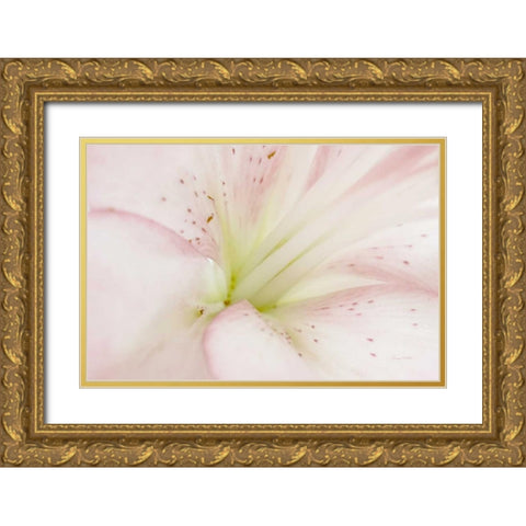 Lily Centered Gold Ornate Wood Framed Art Print with Double Matting by Murdock, Ramona