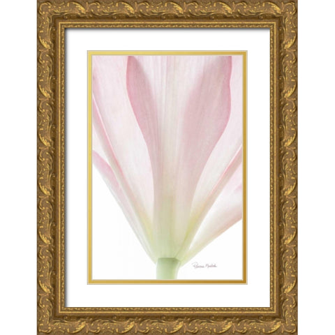 Transparent Lily II Gold Ornate Wood Framed Art Print with Double Matting by Murdock, Ramona