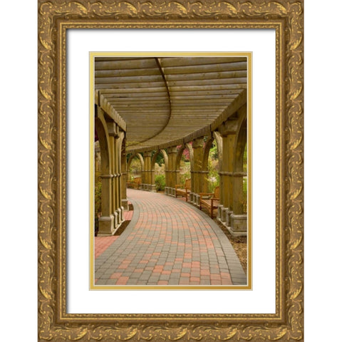 Curves Gold Ornate Wood Framed Art Print with Double Matting by Murdock, Ramona
