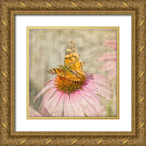 Tattered Butterfly Gold Ornate Wood Framed Art Print with Double Matting by Murdock, Ramona
