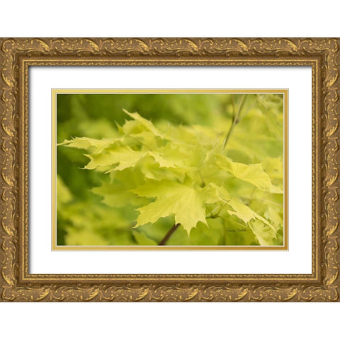 Spring Leaves I Gold Ornate Wood Framed Art Print with Double Matting by Murdock, Ramona